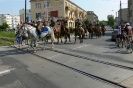 Ułani i my