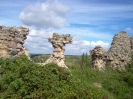 Kocham Ruinki/Kurzętnik/