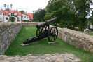Lato z KALINKĄ-4