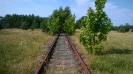 Lato z KALINKĄ_2